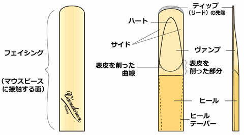 クラリネット サックス リード